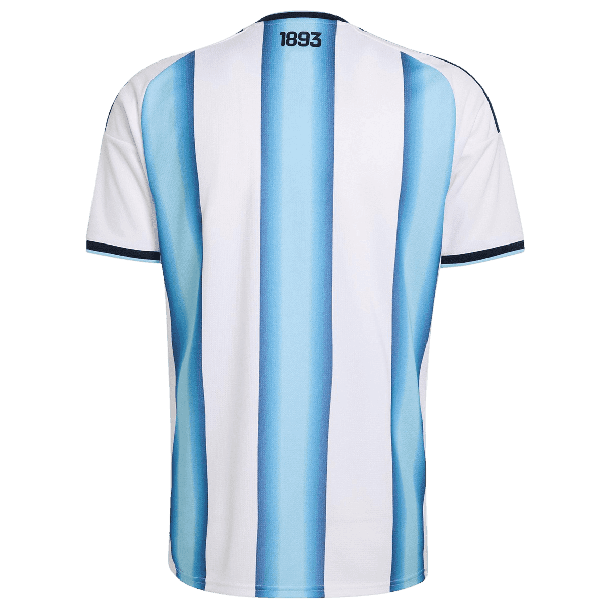 Argentine Domicile Maillot - Coupe du Monde 2026 Blue&White Joueur